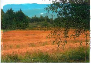 EXPOSITION AU P.A.R.I. EXPOSITION AU P.A.R.I.